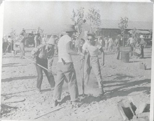 [Photograph of Japanese American incarceree workers]