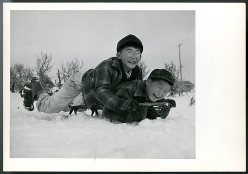 [Two boys sledding]