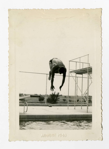 Man diving into pool