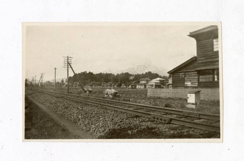 Tanjiro Saito's hometown