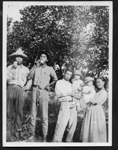 [Family in apple orchard]