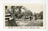 Vegetable dealers' picnic