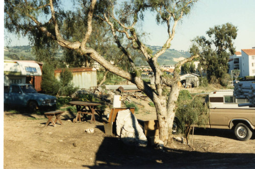 Picnic Area