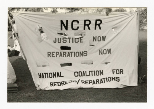 NCRR banner at CWRIC hearing