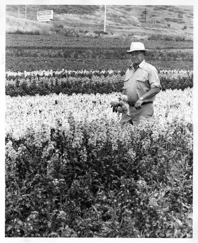 Masaichi with Stock Flowers