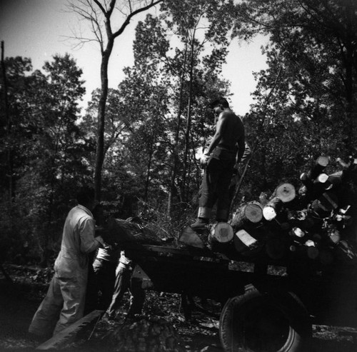 Lumberjacks at work