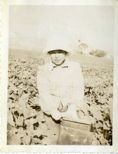 Sitting in the Vegetable Crop