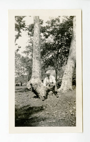 Vegetable retailer at a picnic