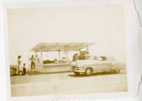 Ishibashi's Roadside Stand