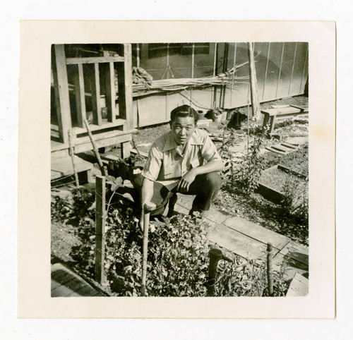 Man in victory garden at Jerome camp