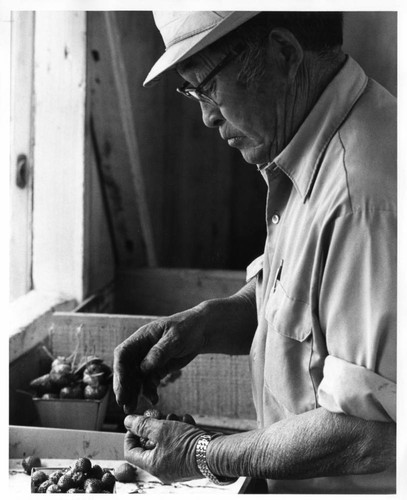 Masaichi Ishibashi with Strawberries