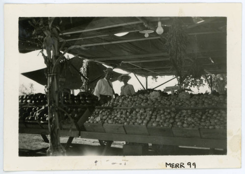 Photograph of fruit at the Manzanar farm exhibit with two people in the background