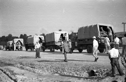 Convoy of covered trucks leaving Jerome camp for Tule Lake camp