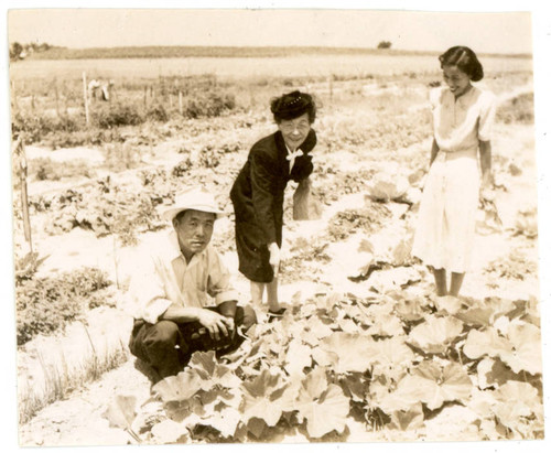 Frank, Shigeru and Reiko Yoshinaga