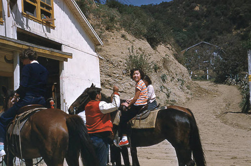 Girl riding horses