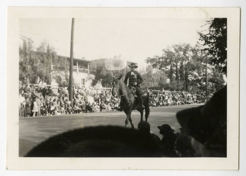 Horse and rider in the Rose Parade