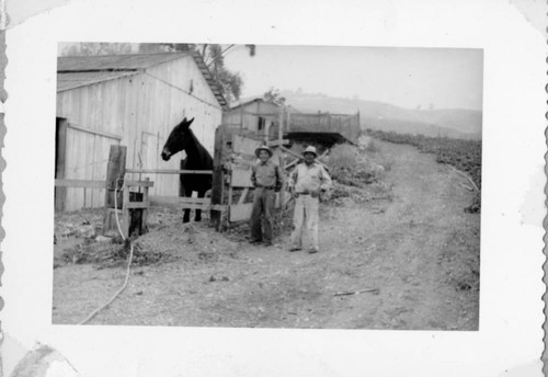 Two Men and a Horse