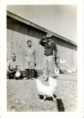 [Three men and chickens]