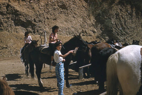 Girls standing near horses