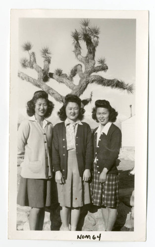 Photograph of a group of girls standing in front of a yucca tree