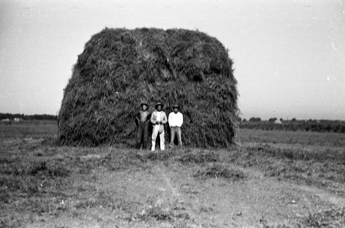 Men and haystack in Jerome camp