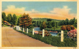 Postcard from Mrs. D.L. Cook to Sam Tanaka, August 1943