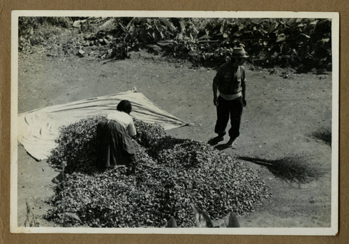 Japanese Peruvian man and woman