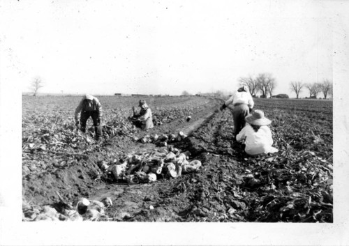 [Taenaka family in a farm]