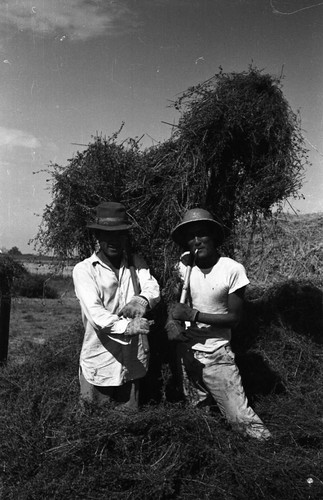 Men working with hay in Jerome camp