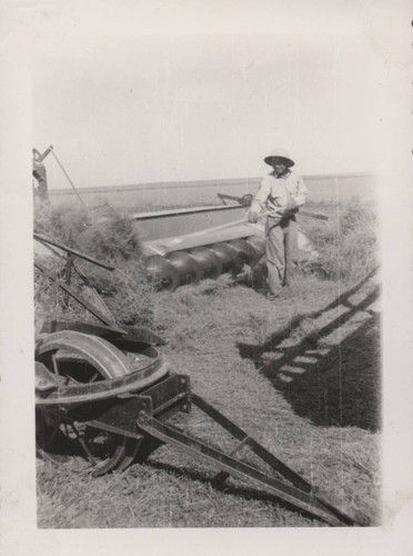 Farmer works in field with a screw conveyor