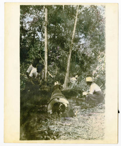 Lumberjacks at work