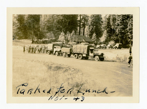 Caravan of military vehicles