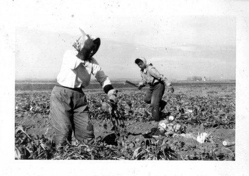 [Taenaka family in a farm]