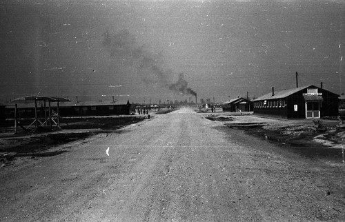 Road in Jerome camp