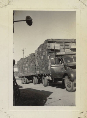 Truck and trailers carrying a load of wooden produce boxes