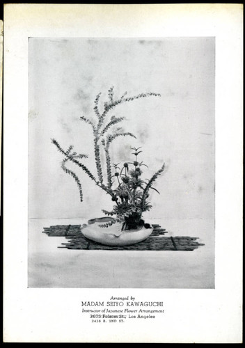 Ikebana arranged by Madam Seiyo Kawaguchi