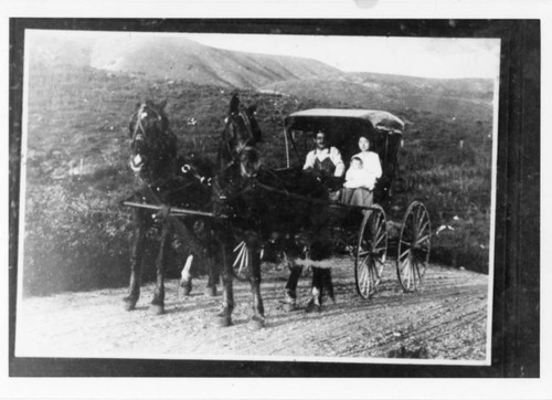 Three People in Horse-Drawn Carriage