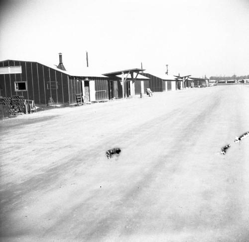 Barracks road in Jerome camp