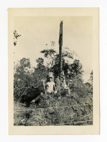 Man with tree stump