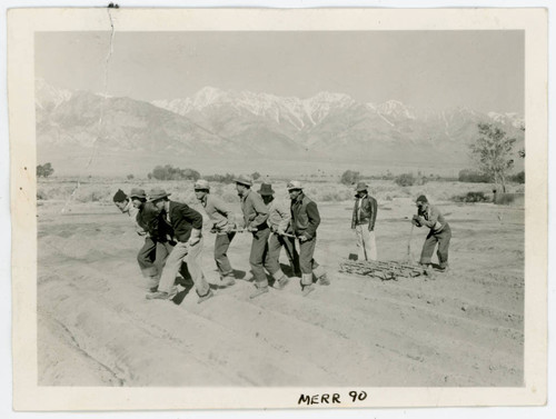 Photograph of a group of men tilling a Manzanar farm with the Sierra Nevada in the background