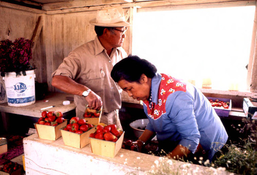 Masaichi and Miye Ishibashi