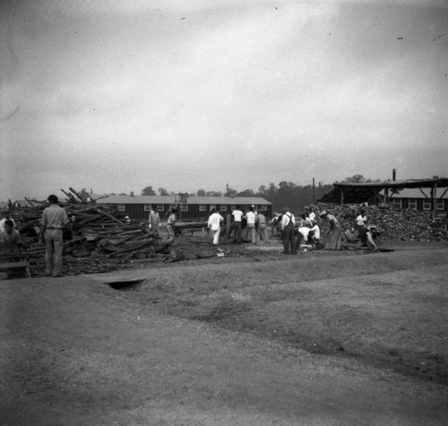 Lumberjacks at work in Jerome camp