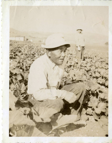 Kumekichi Ishibashi in the Field