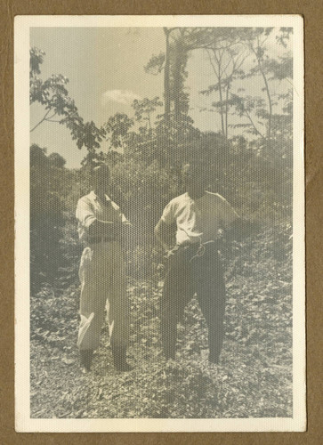 Japanese Peruvian workers