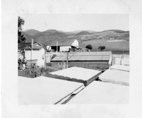 Farm Shed and Vegetable Beds