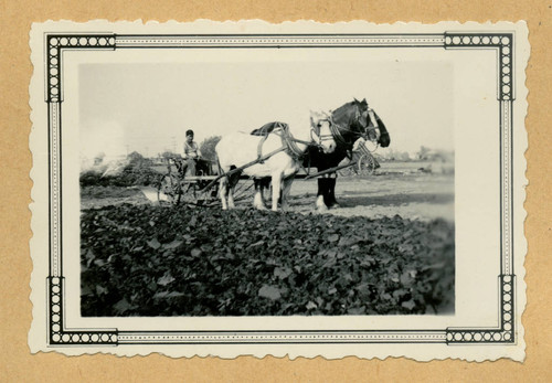 Takashi Ishida plowing field