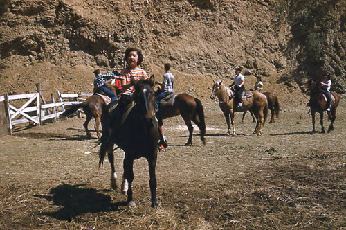 Children riding horses