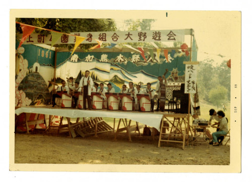 Music performance at a picnic