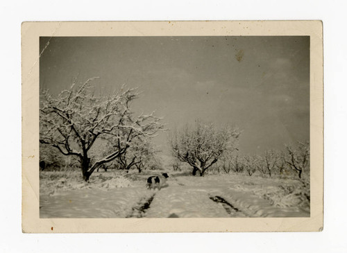 Snow in Utah