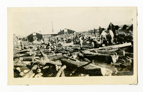 Lumberjacks at work in Jerome camp